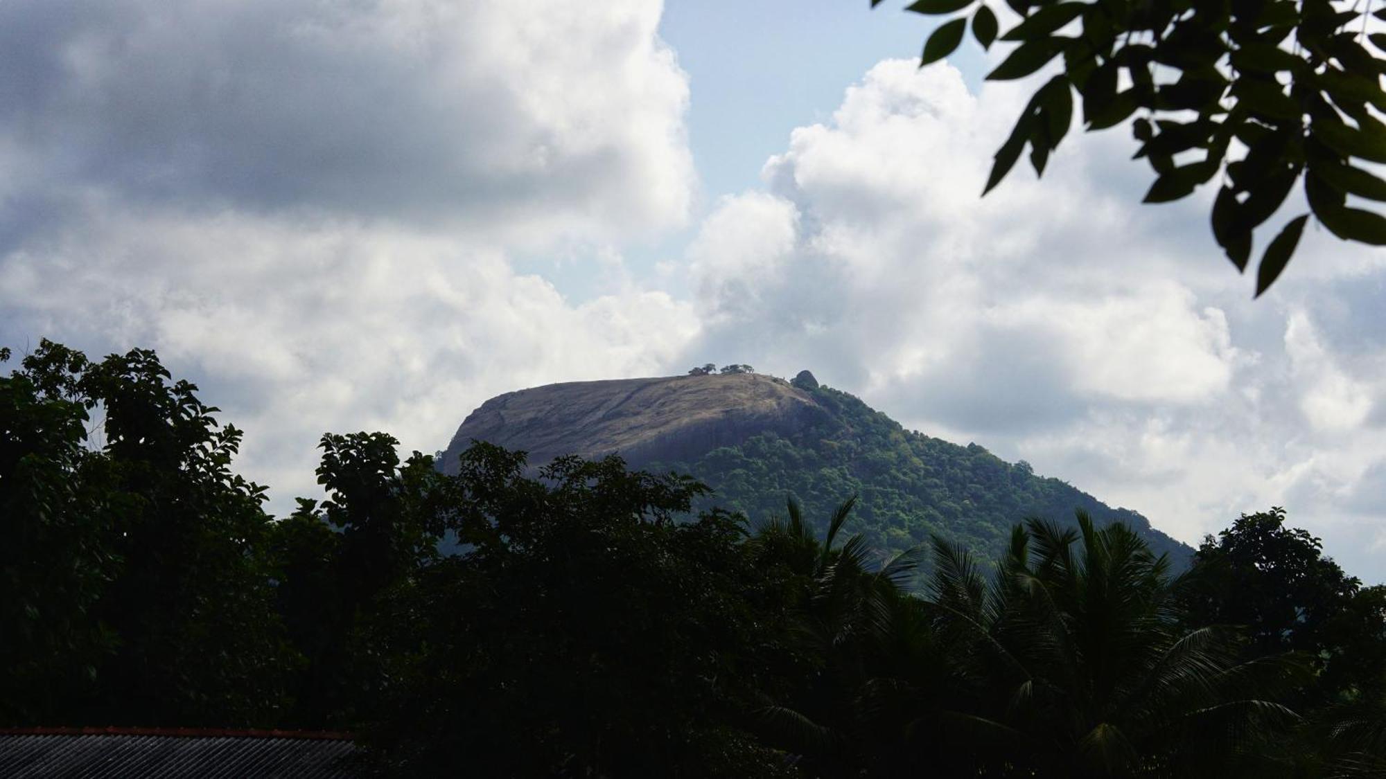 Sigiri Dilu Villa Sigiriya Esterno foto