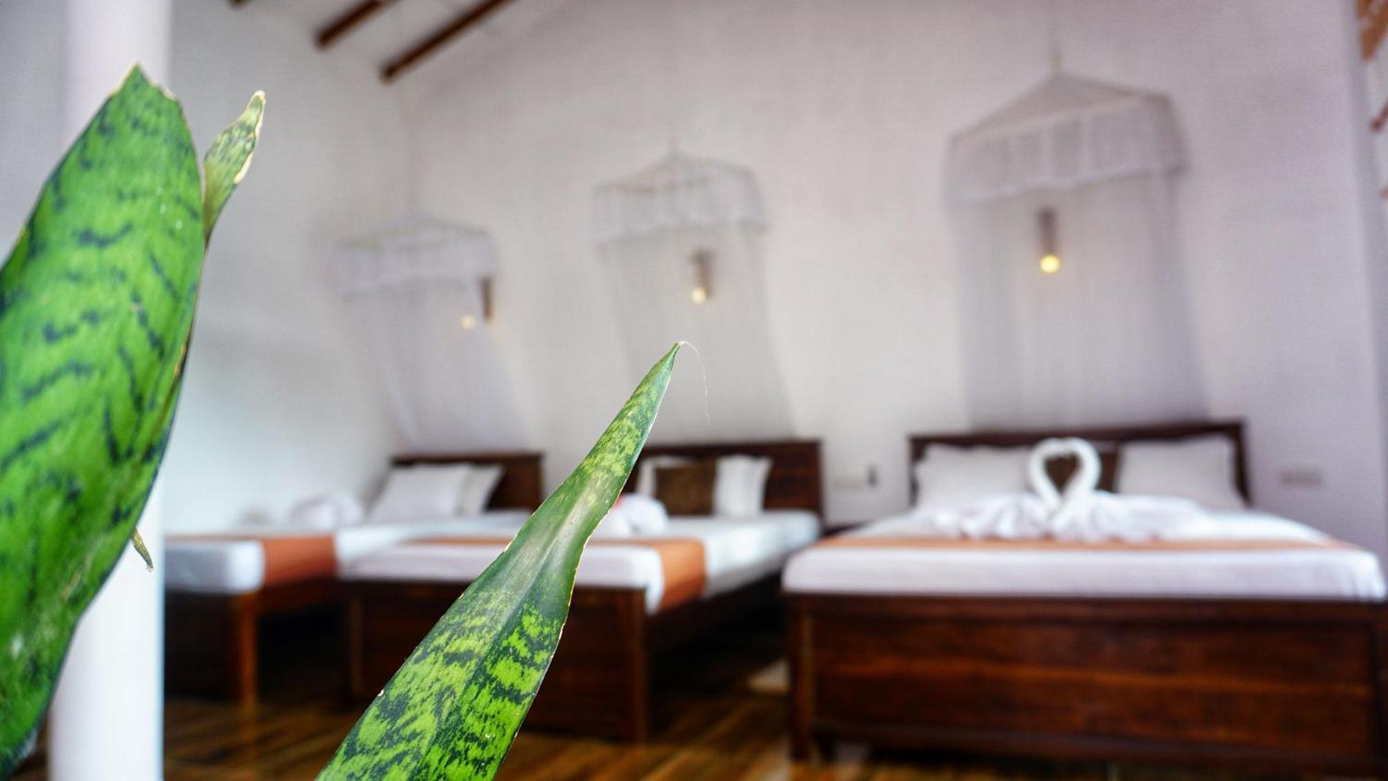Sigiri Dilu Villa Sigiriya Esterno foto