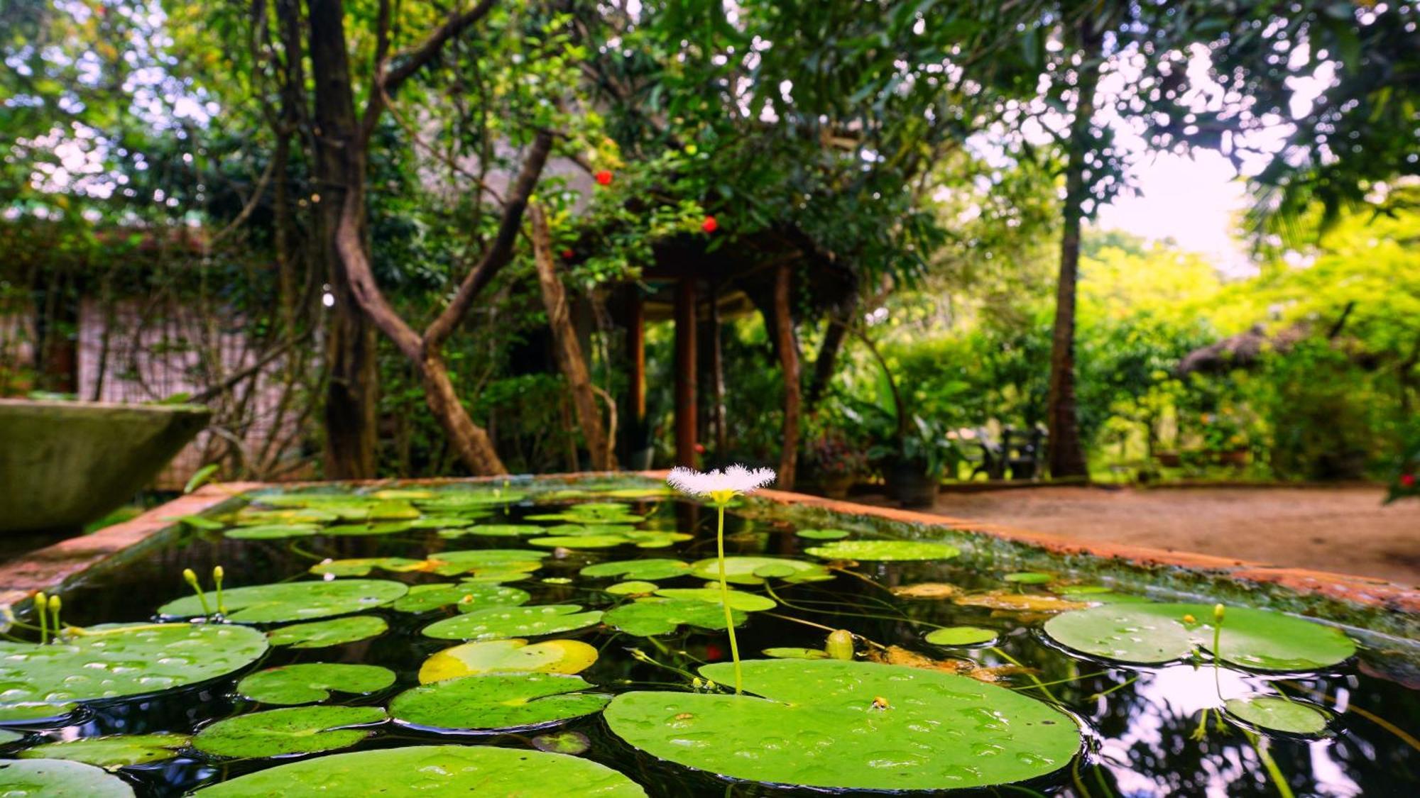 Sigiri Dilu Villa Sigiriya Esterno foto